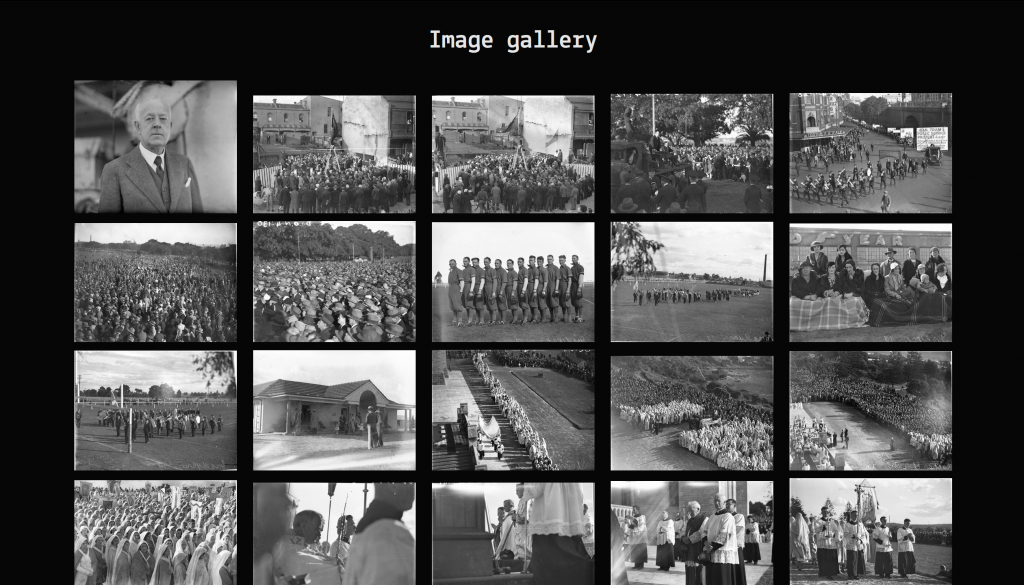 Image gallery view